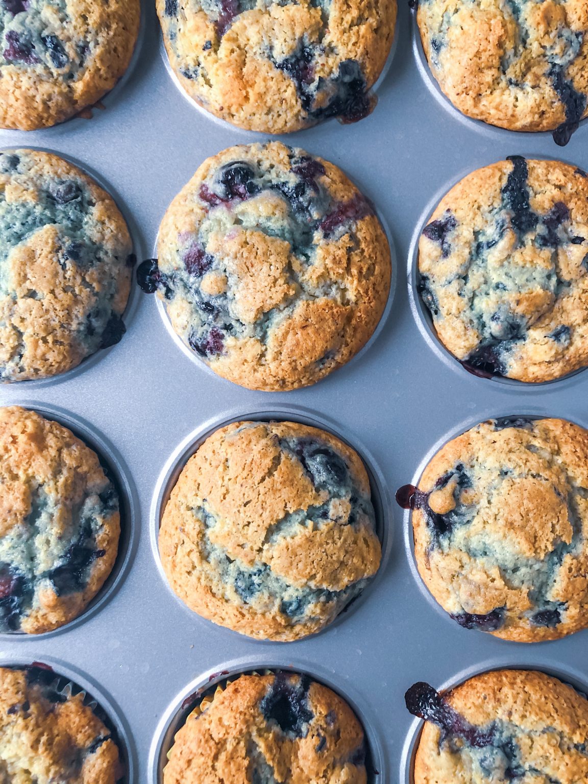 classic blueberry muffins