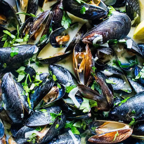 steamed mussels in a white wine and garlic sauce on www.thedanareneeway.com