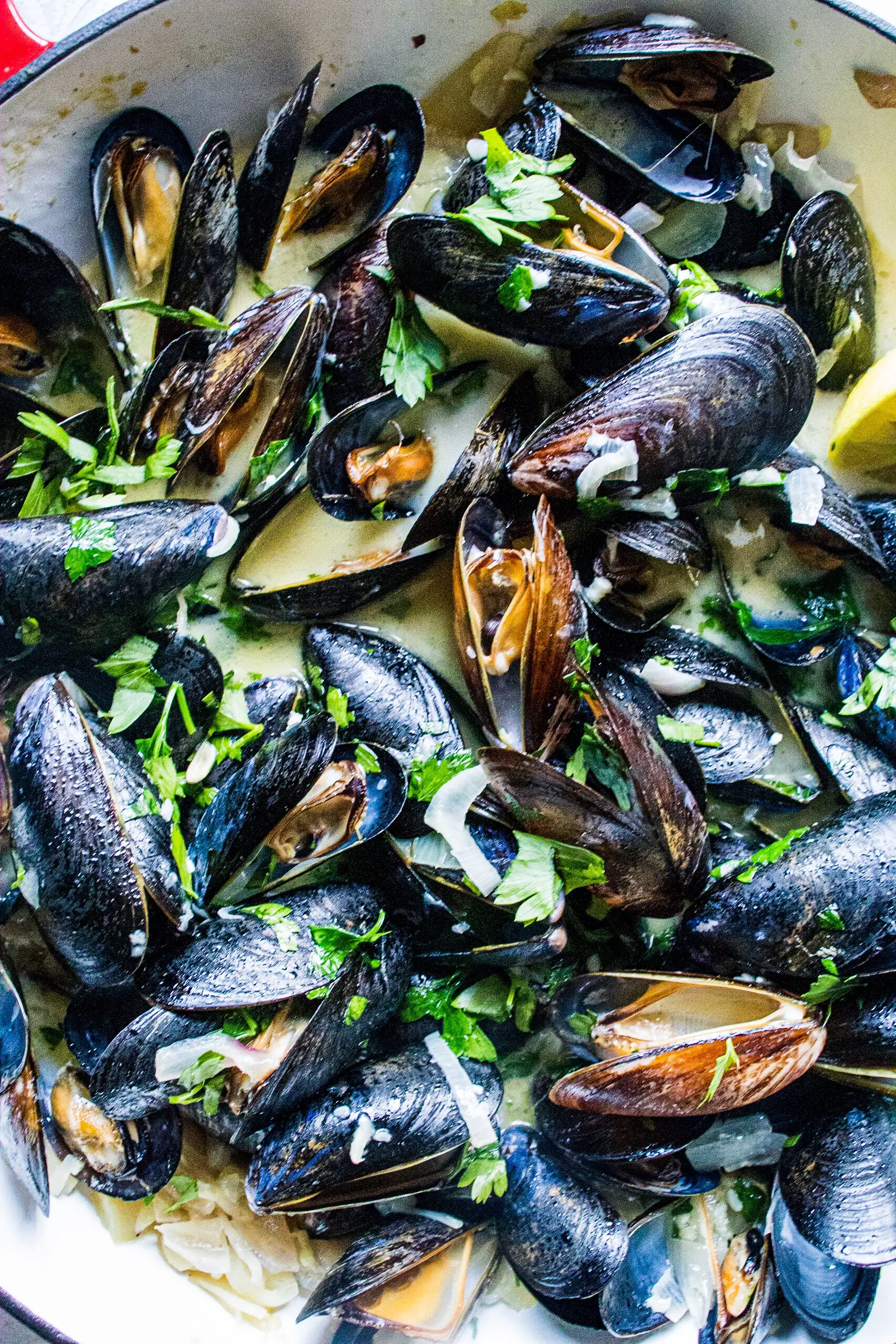 steamed mussels in a white wine and garlic sauce on www.thedanareneeway.com