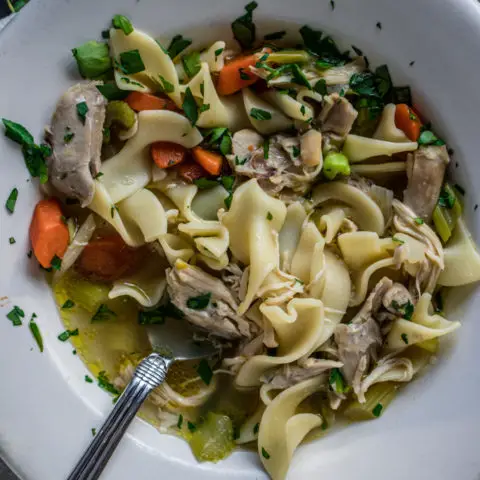 Chicken Noodle Soup From Scratch with Homemade Chicken Broth — www.thedanareneeway.com